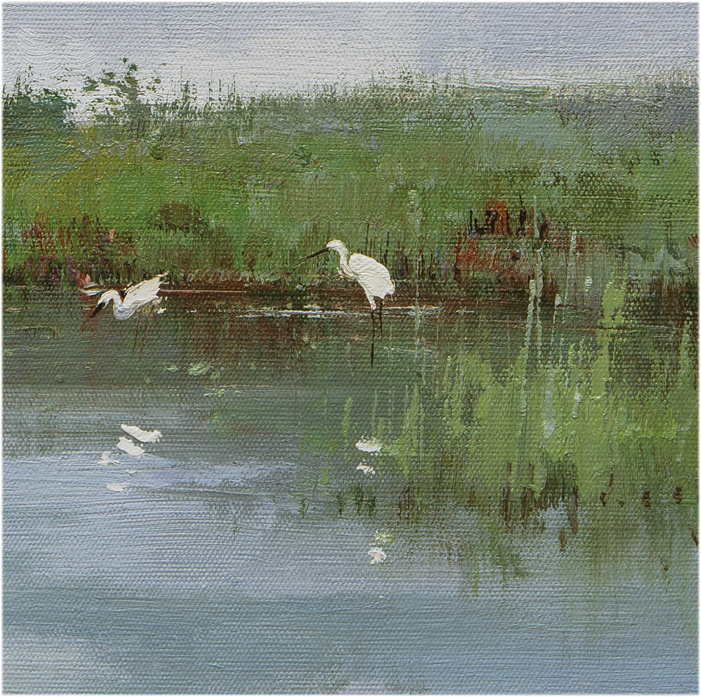 Giclee on Canvas-Modern Egrets in Open Water Artwork 823901 image 3
